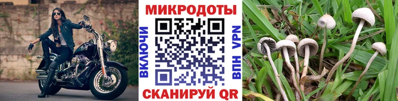 Купить закладки  Москва  Псилоцибиновые грибы Magic Shrooms 